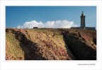 Gita al faro...