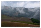 Autunno... (voglia)