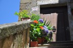 Pitigliano 09