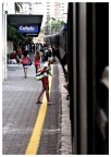 La Linea Gialla