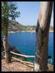 isola del giglio