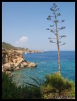 isola del giglio