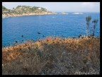 isola del giglio