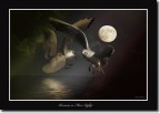 Romance in moon light