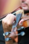 Violino
