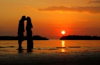 All alba