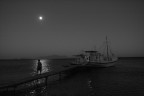 Moonlight drive