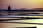 saline