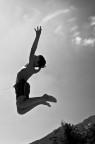 volando volando