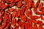 potenza del sole