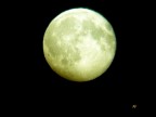 Werewolf's time