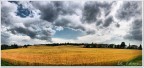 ranquilli nessuna traccia aliena in questo campo di grano