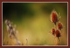 f 2.8