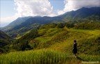 Scattata in Vietnam, a qualche km dal confine con la Cina...infatti ecco qui le risaie terrazzate!
Posto meraviglioso.

Canon 400D, tamron 17-50 2.8 @ f8, 1/160, ISO 200

Come al solito, graditissime critiche e commenti!