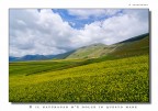 Dati di scatto: fuji s5 pro , 13mm., iso 200, f14.0 1/80