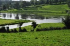 Campagna irlandese