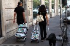il re del gossip