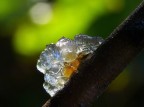 Ice