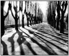 un viale
