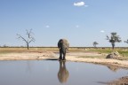 forme d'africa