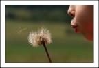 Soffia, soffia che vola via...