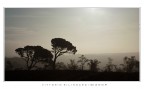 Controluce
