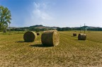 Campagna Toscana