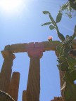 Templi siciliani