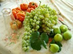 sapore di campagna