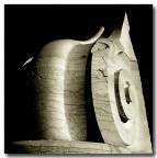 Volute marmoree