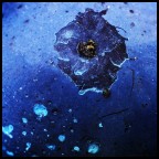 Blue Moon