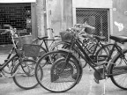 bicycles