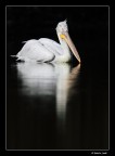 Bianco e nero