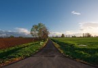 Campagna