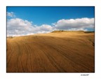 ...LAND...