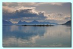 Norvegia - Nvigazione  sui fiordi
