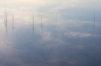 Riflessi