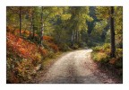 my way....