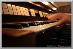 Organo