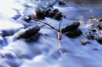 Torrente