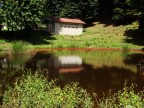 riflesso 2