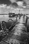 Comacchio BN