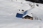 prima di tutto bon giorno a tutti sono nuovo  ed  la mia prima foto che posto che dire ...fate i vostri commenti sono sempre graditi grazie