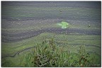 Lago di Annone LC

Critiche e consigli sempre graditi