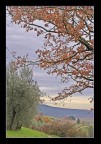 Campagna Toscana