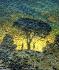 Shadows