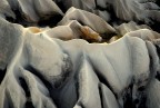 cappadocia 2009
