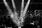 Concerto Ligabue Arena di Verona