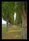 Per il Paradiso....