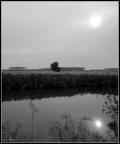 Campagne Mantovane